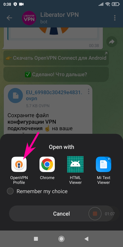 Liberator VPN бот - Выбор приложения OpenVPN Connect для загрузки файла конфигурации VPN подключения